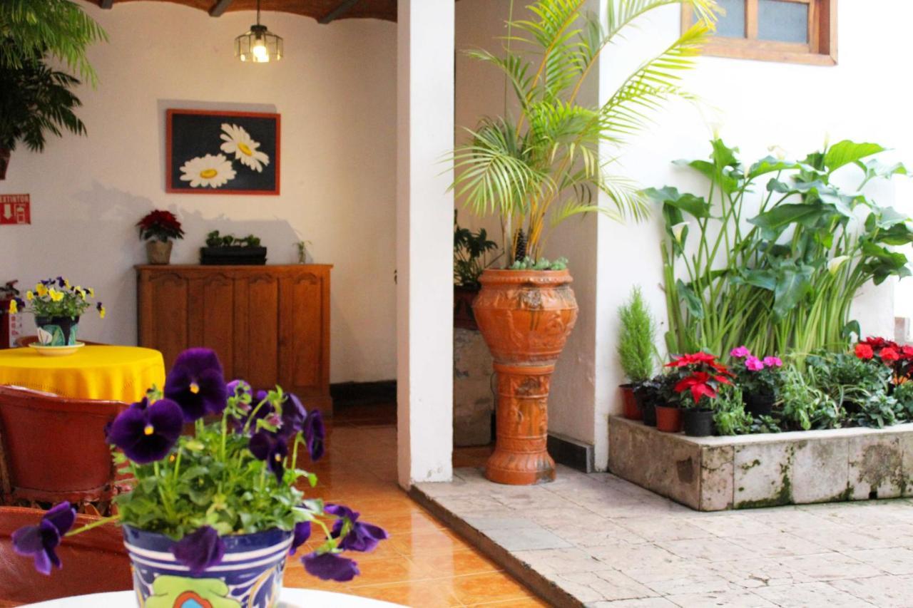 Las Margaritas Hotel Posada Тапальпа Экстерьер фото