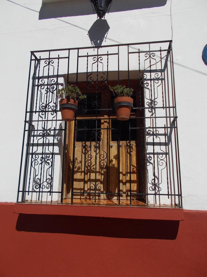 Las Margaritas Hotel Posada Тапальпа Экстерьер фото